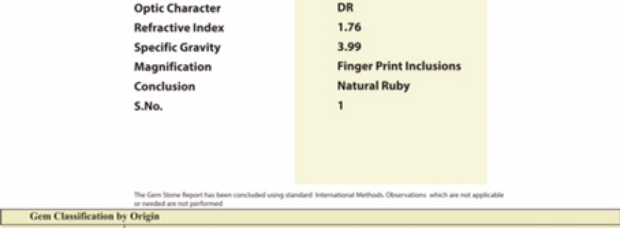 Gem Testing Report